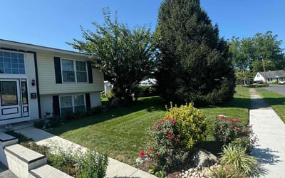 Photo of Kathy K.'s yard after getting lawn care in Mechanicsburg, PA