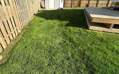 Photo of Charles H.'s yard after getting lawn care in Alexandria, VA