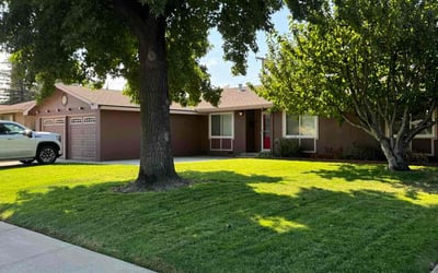 Photo of Artis O.'s yard after getting lawn care in Turlock, CA