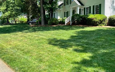 Photo of Jason P.'s yard after getting lawn care in Reidsville, NC