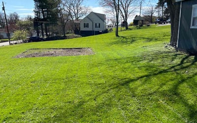 Photo of Joe B.'s yard after getting lawn care in Irwin, PA
