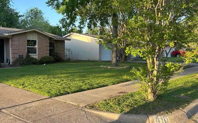 Photo of Elba S.'s yard after getting lawn care in Richardson, TX