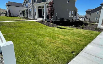 Photo of Mo I.'s yard after getting lawn care in Eagle Mountain, UT