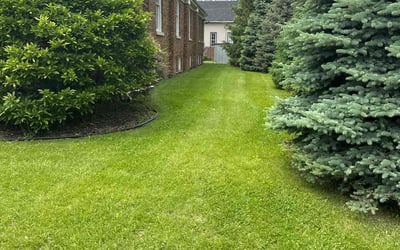 Photo of Ryan H.'s yard after getting lawn care in Blue Island, IL