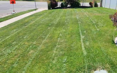 Photo of Keith P.'s yard after getting lawn care in Spanish Fork, UT