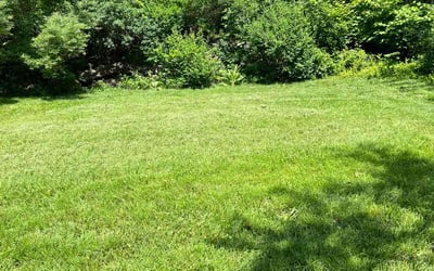 Photo of Tereka G.'s yard after getting lawn care in Whitehall, PA
