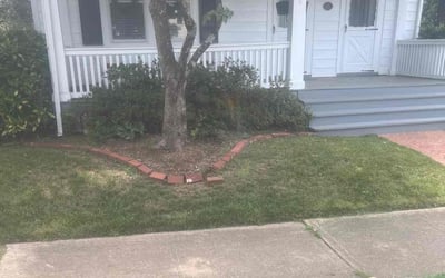 Photo of Jim C.'s yard after getting lawn care in Clifton, VA