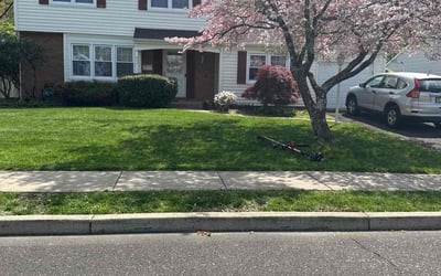 Photo of Deborah L.'s yard after getting lawn care in Morrisville, PA