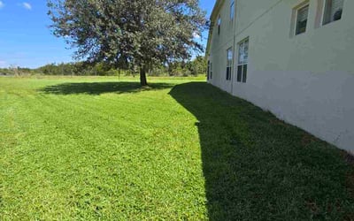 Photo of William L.'s yard after getting lawn care in Odenville, AL