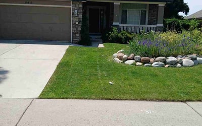Photo of Ashley R.'s yard after getting lawn care in Pottsville, PA