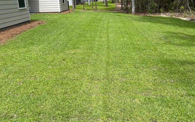 Photo of Misty K.'s yard after getting lawn care in Rincon, GA