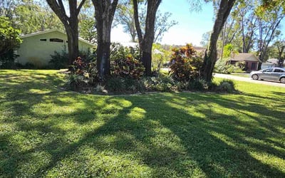 Photo of Patti R.'s yard after getting lawn care in Longview, TX