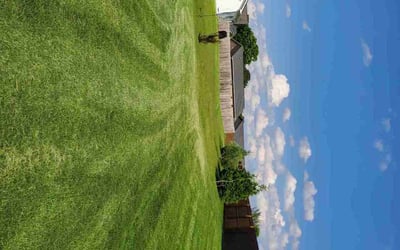 Photo of Scott H.'s yard after getting lawn care in Five Forks, SC