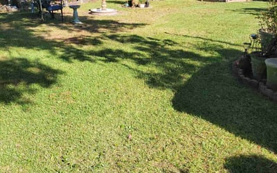 Photo of Lucas S.'s yard after getting lawn care in Miramar Beach, FL