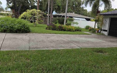 Photo of Khatrina R.'s yard after getting lawn care in Davenport, FL