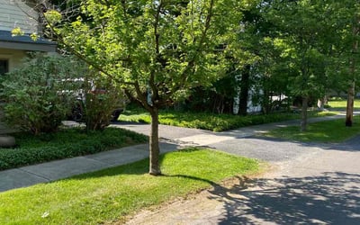 Photo of Bill S.'s yard after getting lawn care in Fayetteville, NY