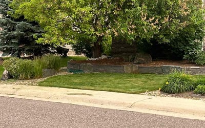 Photo of Jessica F.'s yard after getting lawn care in Castle Pines, CO