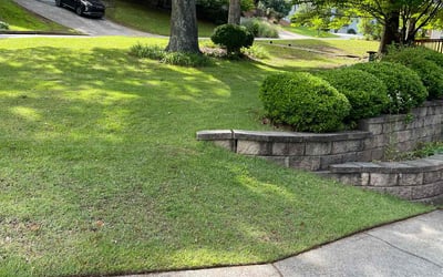 Photo of Meagan R.'s yard after getting lawn care in Rosharon, TX