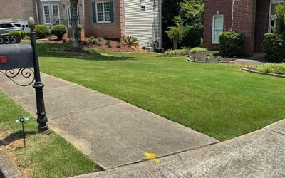 Photo of Esther N.'s yard after getting lawn care in Roswell, GA
