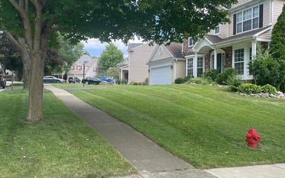 Photo of Nancy R.'s yard after getting lawn care in Cary, IL