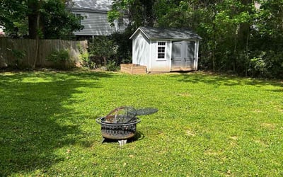 Photo of Anna E.'s yard after getting lawn care in Falls Church, VA