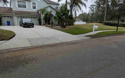 Photo of John G.'s yard after getting lawn care in Land O' Lakes, FL