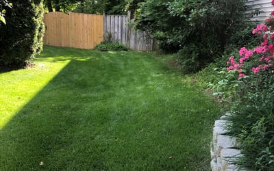 Photo of Brett H.'s yard after getting lawn care in Ashburn, VA