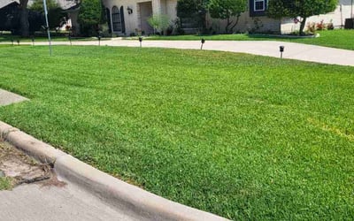 Photo of Krystal M.'s yard after getting lawn care in Garland, TX