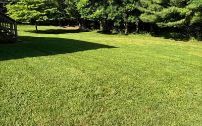 Photo of Angel G.'s yard after getting lawn care in Roanoke, VA