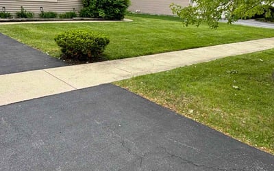Photo of Gab W.'s yard after getting lawn care in Fallbrook, CA
