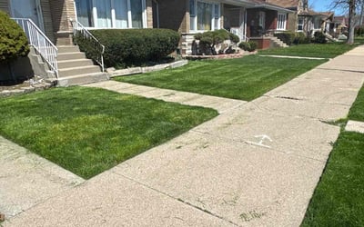Photo of Robert T.'s yard after getting lawn care in Cicero, IL