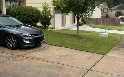 Photo of Sara O.'s yard after getting lawn care in San Rafael, CA