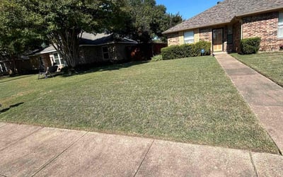 Photo of Heidi F.'s yard after getting lawn care in Duncanville, TX