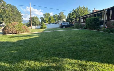 Photo of Frank A.'s yard after getting lawn care in Cottonwood Heights, UT