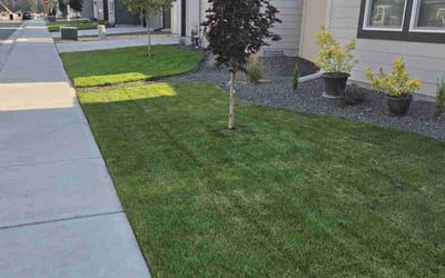 Photo of Jennifer N.'s yard after getting lawn care in Cheney, WA