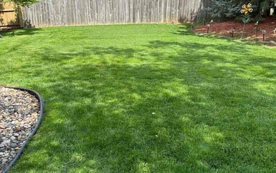 Photo of Oretha p.'s yard after getting lawn care in Urbandale, IA