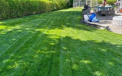 Photo of Steve H.'s yard after getting lawn care in Livingston, NJ