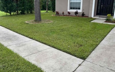 Photo of Shyann F.'s yard after getting lawn care in Land O' Lakes, FL