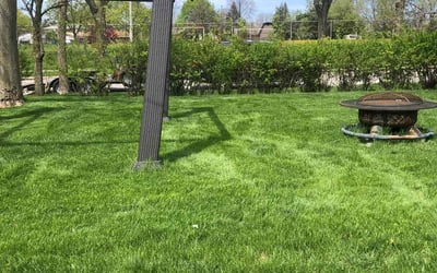 Photo of Amanda S.'s yard after getting lawn care in Pewaukee, WI
