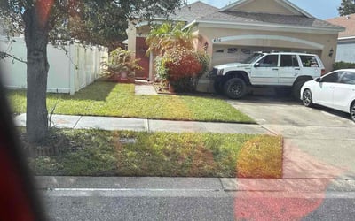 Photo of Patricia E.'s yard after getting lawn care in Ruskin, FL