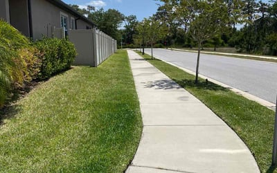 Photo of Ann-Maria C.'s yard after getting lawn care in Lutz, FL
