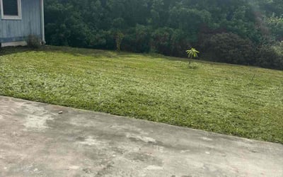 Photo of Tresa R.'s yard after getting lawn care in Telford, PA