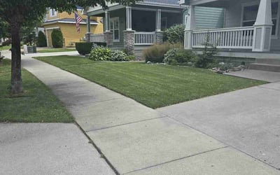 Photo of Sharon B.'s yard after getting lawn care in Robstown, TX