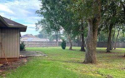 Photo of Elizabeth R.'s yard after getting lawn care in Theodore, AL