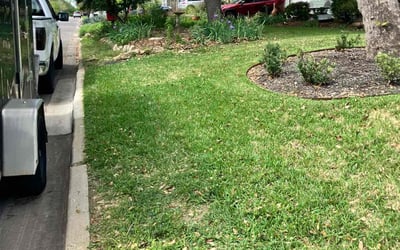 Photo of timesha -.'s yard after getting lawn care in Brownsville, TX