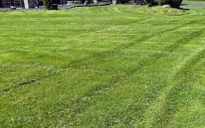 Photo of Ann G.'s yard after getting lawn care in Greece, NY