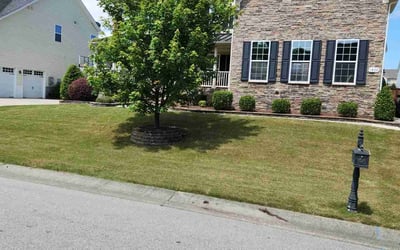 Photo of Jamie S.'s yard after getting lawn care in Levittown, PA