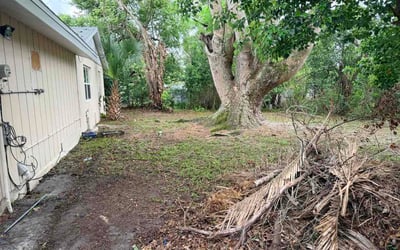 Photo of Federico B.'s yard after getting lawn care in Olympia, WA