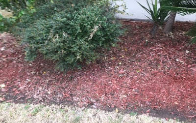 Photo of Kara C.'s yard after getting lawn care in Grand Haven, MI