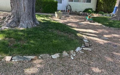 Photo of Rita M.'s yard after getting lawn care in Albuquerque, NM